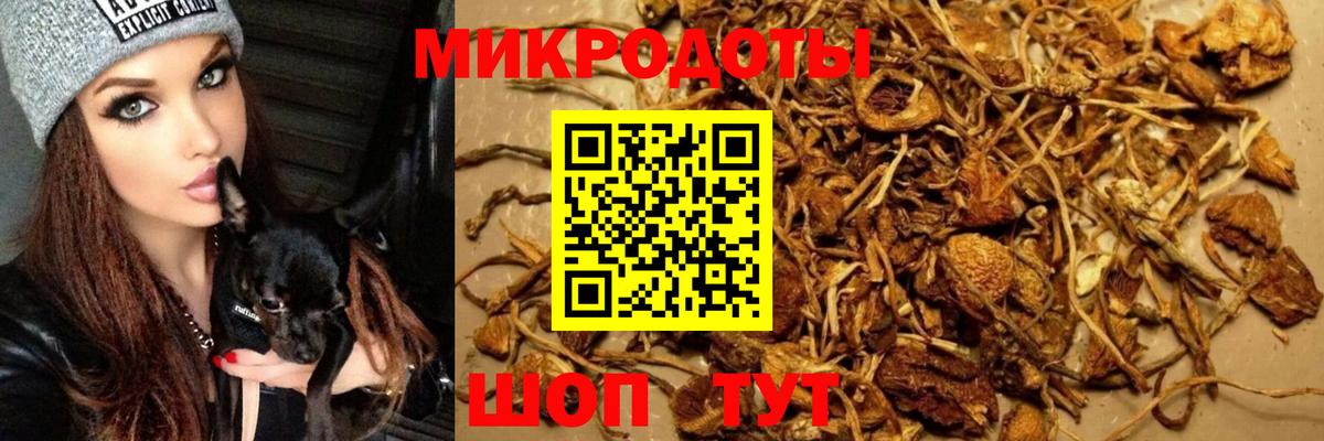 Галлюциногенные грибы мицелий  Вход с VPN  Галлюциногенные грибы мухоморы  где найти   Котельники 